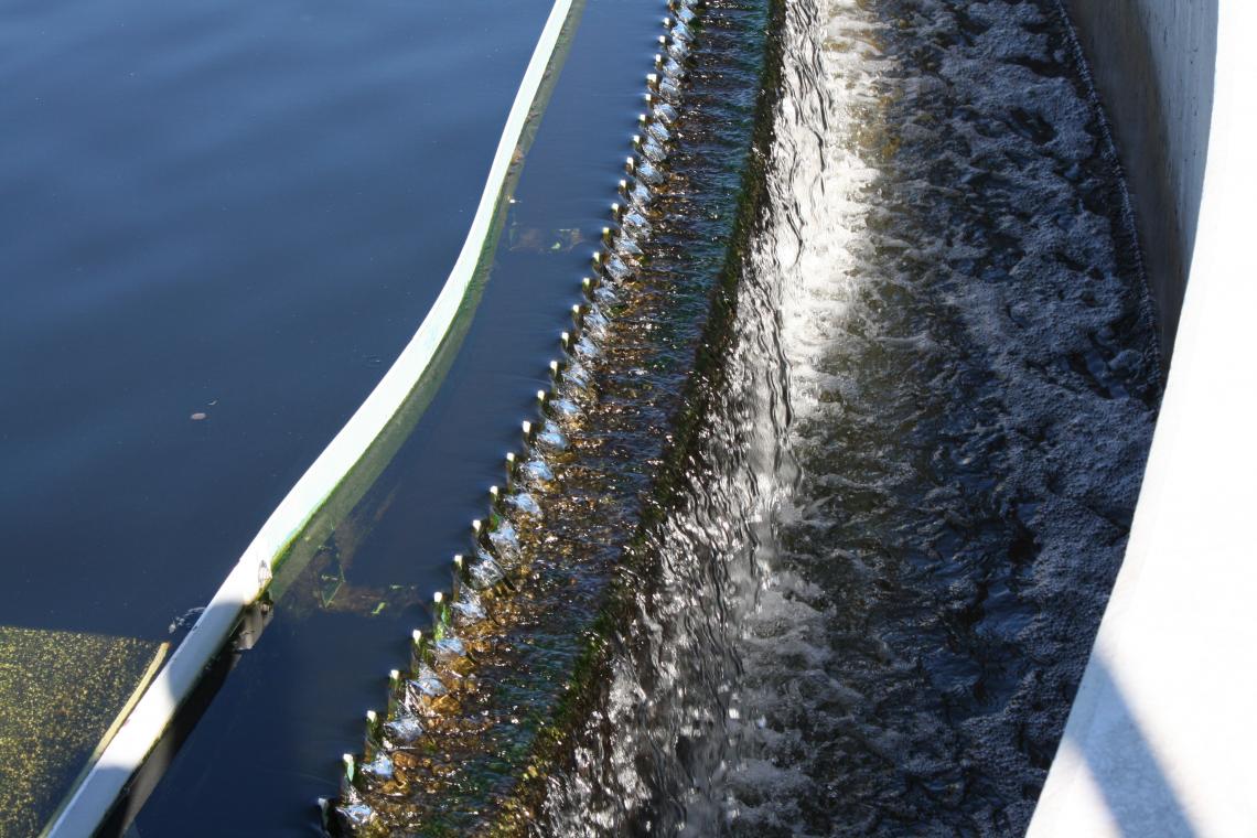 Water from the Agua Nueva secondary clarifier will be used in the WEST Center. Water from the Agua Nueva secondary clarifier will be used in the WEST Center.